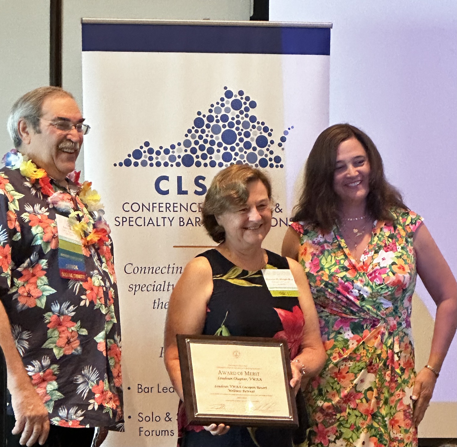 Award of Merit Presented to Loudoun Chapter