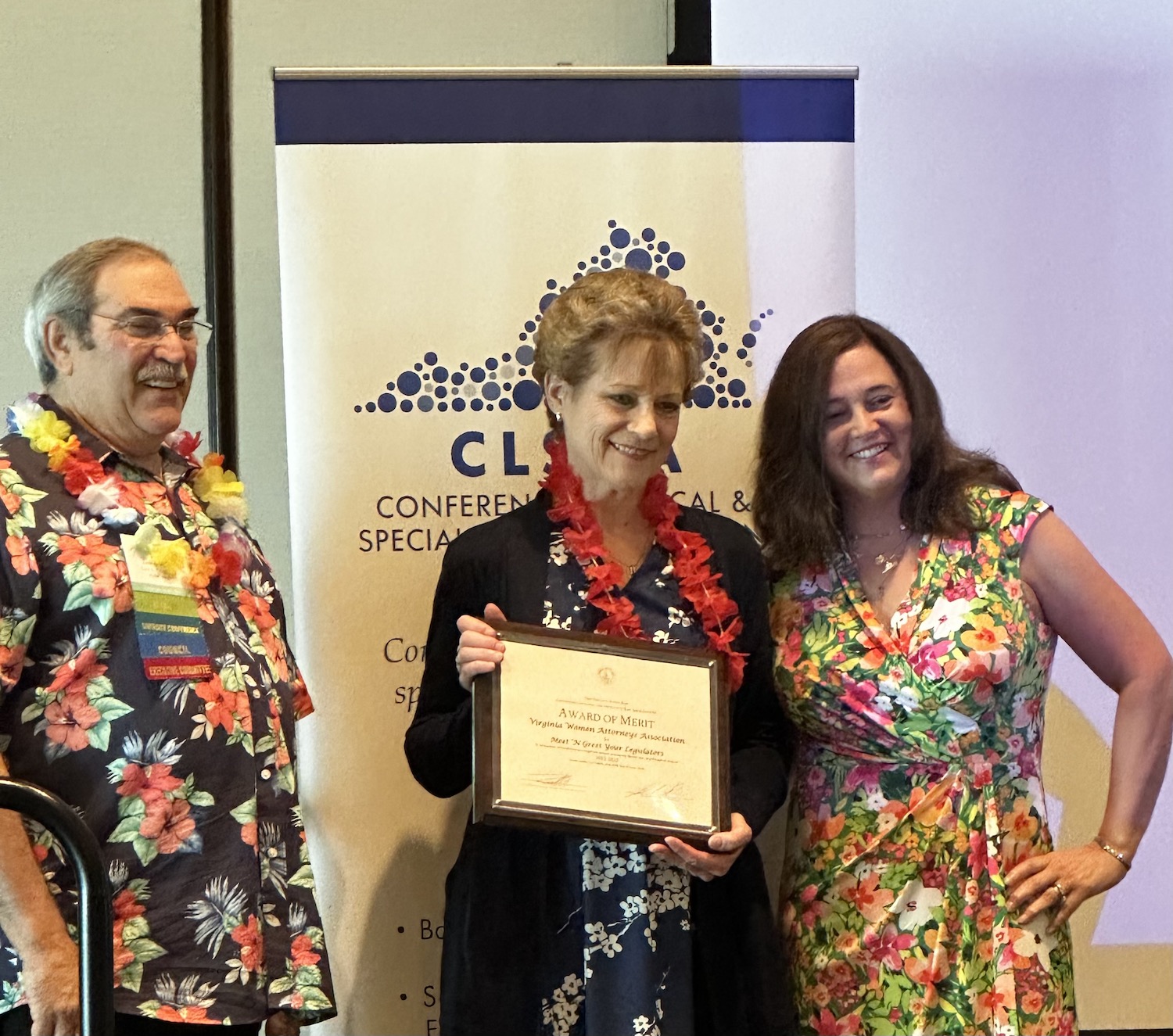 Award of Merit Presented to Roanoke Chapter